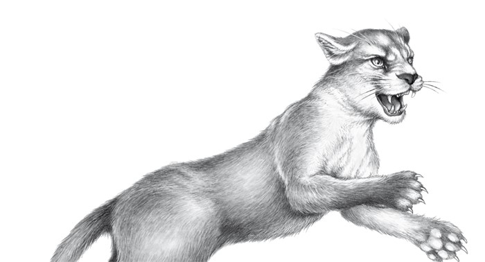 Иллюстрация к книге — Тайна Холли [i_020.jpg]