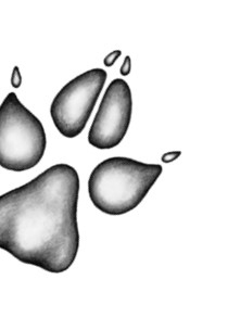 Иллюстрация к книге — Тайна Холли [i_022.jpg]