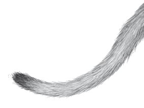 Иллюстрация к книге — Тайна Холли [i_023.jpg]