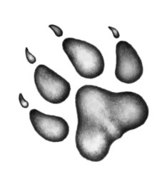 Иллюстрация к книге — Тайна Холли [i_025.jpg]