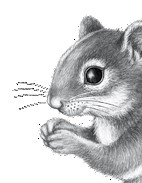 Иллюстрация к книге — Тайна Холли [i_026.jpg]