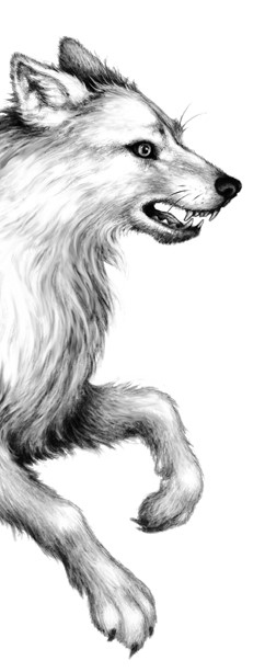 Иллюстрация к книге — Тайна Холли [i_028.jpg]