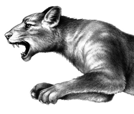 Иллюстрация к книге — Тайна Холли [i_029.jpg]