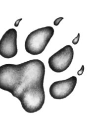 Иллюстрация к книге — Тайна Холли [i_032.jpg]