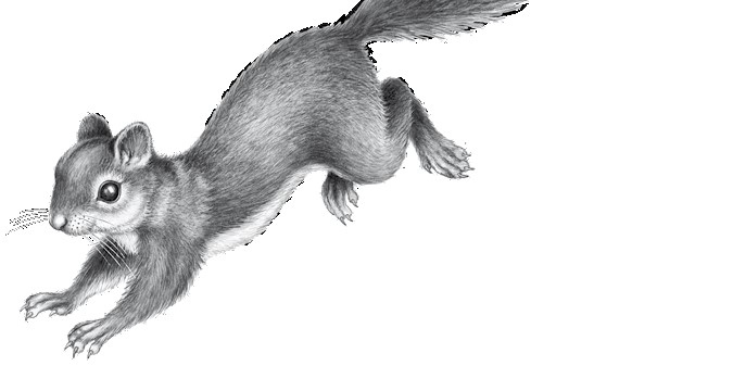 Иллюстрация к книге — Тайна Холли [i_039.jpg]