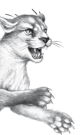 Иллюстрация к книге — Тайна Холли [i_043.jpg]