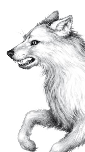 Иллюстрация к книге — Тайна Холли [i_044.jpg]