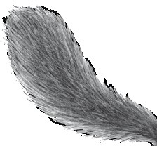 Иллюстрация к книге — Тайна Холли [i_045.jpg]