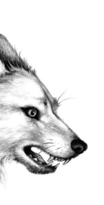 Иллюстрация к книге — Тайна Холли [i_047.jpg]