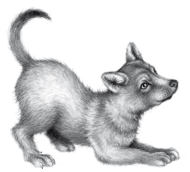 Иллюстрация к книге — Тайна Холли [i_048.jpg]