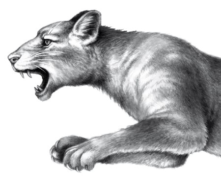 Иллюстрация к книге — Тайна Холли [i_049.jpg]