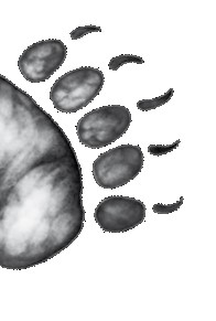 Иллюстрация к книге — Тайна Холли [i_050.jpg]