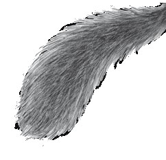 Иллюстрация к книге — Тайна Холли [i_054.jpg]