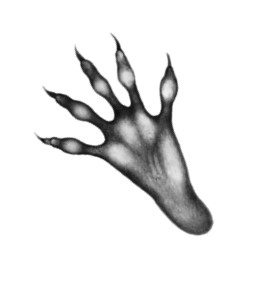 Иллюстрация к книге — Тайна Холли [i_055.jpg]