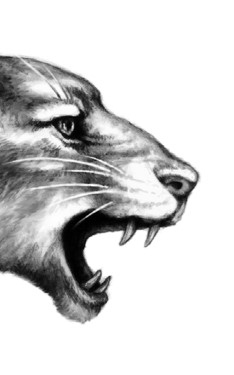 Иллюстрация к книге — Тайна Холли [i_059.jpg]