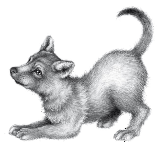 Иллюстрация к книге — Тайна Холли [i_062.jpg]