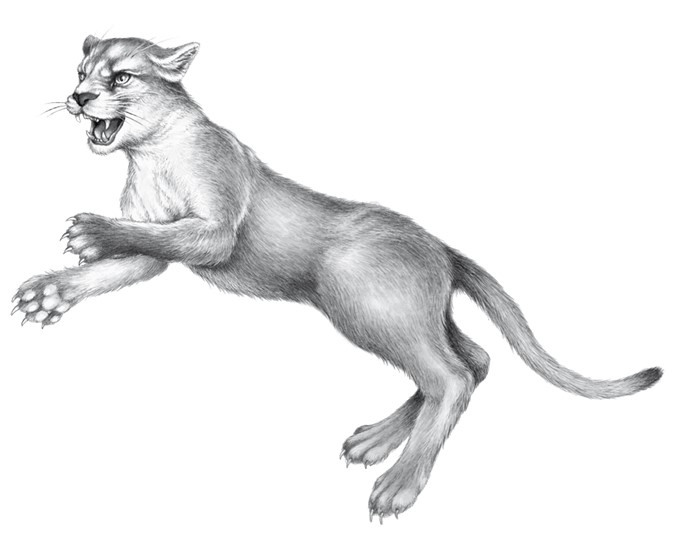 Иллюстрация к книге — Тайна Холли [i_064.jpg]