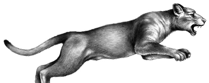 Иллюстрация к книге — Тайна Холли [i_066.jpg]