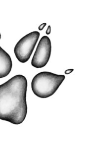 Иллюстрация к книге — Тайна Холли [i_070.jpg]