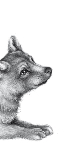 Иллюстрация к книге — Тайна Холли [i_072.jpg]