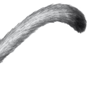 Иллюстрация к книге — Тайна Холли [i_073.jpg]