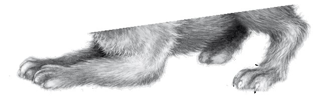 Иллюстрация к книге — Тайна Холли [i_074.jpg]