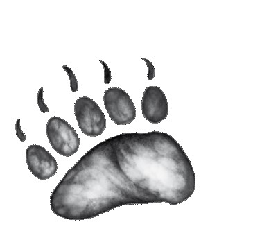 Иллюстрация к книге — Тайна Холли [i_075.jpg]