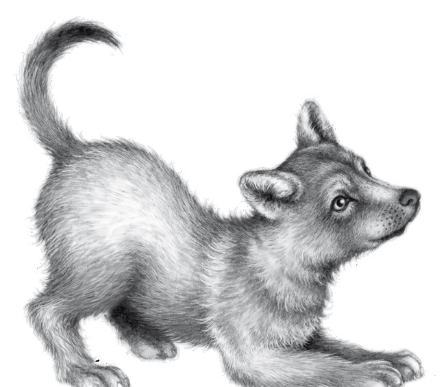 Иллюстрация к книге — Тайна Холли [i_078.jpg]