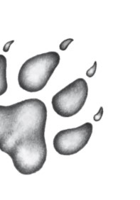 Иллюстрация к книге — Тайна Холли [i_079.jpg]