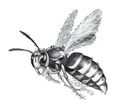 Иллюстрация к книге — Тайна Холли [i_080.jpg]