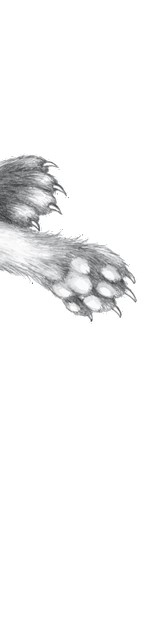 Иллюстрация к книге — Тайна Холли [i_081.jpg]