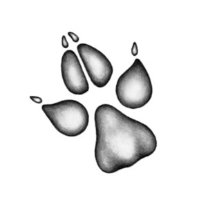 Иллюстрация к книге — Тайна Холли [i_090.jpg]