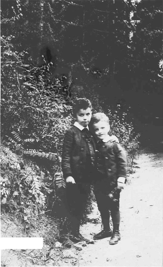 Иллюстрация к книге — Дом Витгенштейнов. Семья в состоянии войны [i_007.jpg]