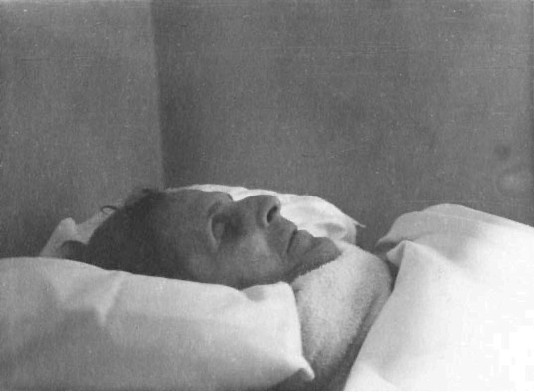 Иллюстрация к книге — Дом Витгенштейнов. Семья в состоянии войны [i_035.jpg]