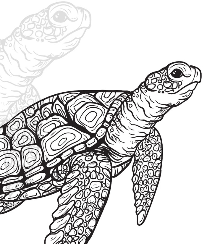 Иллюстрация к книге — Бессмертные. Почему гидры и медузы живут вечно, и как людям перенять их секрет [i_001.jpg]