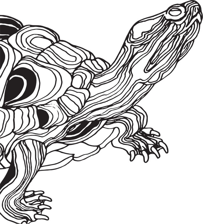 Иллюстрация к книге — Бессмертные. Почему гидры и медузы живут вечно, и как людям перенять их секрет [i_002.jpg]