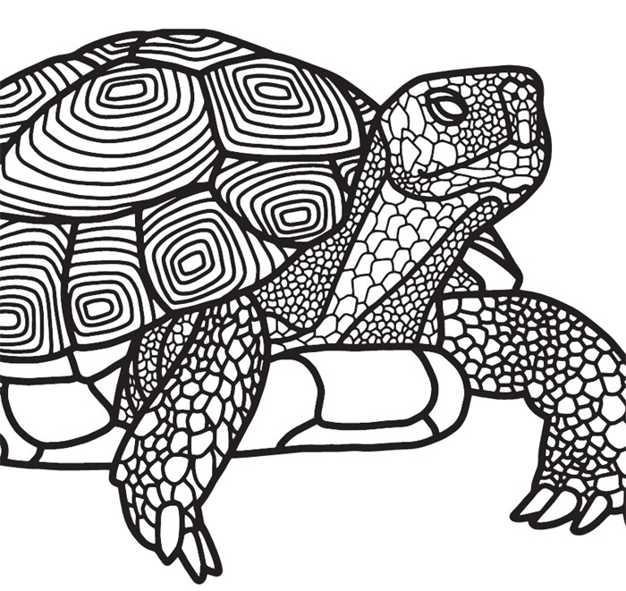 Иллюстрация к книге — Бессмертные. Почему гидры и медузы живут вечно, и как людям перенять их секрет [i_004.jpg]