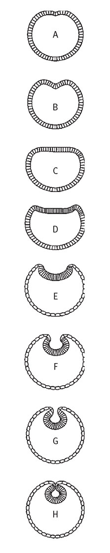 Иллюстрация к книге — Перерастая бога. Пособие для начинающих [i_008.jpg]