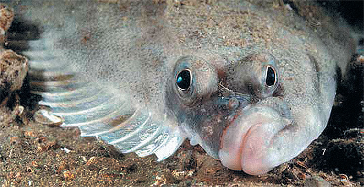 Иллюстрация к книге — Перерастая бога. Пособие для начинающих [i_015.jpg]