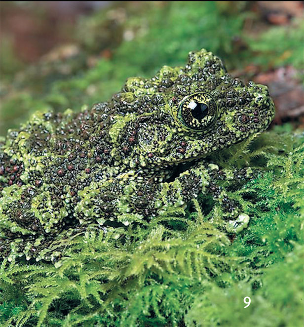 Иллюстрация к книге — Перерастая бога. Пособие для начинающих [i_017.jpg]