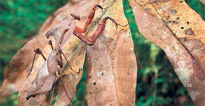 Иллюстрация к книге — Перерастая бога. Пособие для начинающих [i_020.jpg]