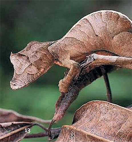 Иллюстрация к книге — Перерастая бога. Пособие для начинающих [i_021.jpg]