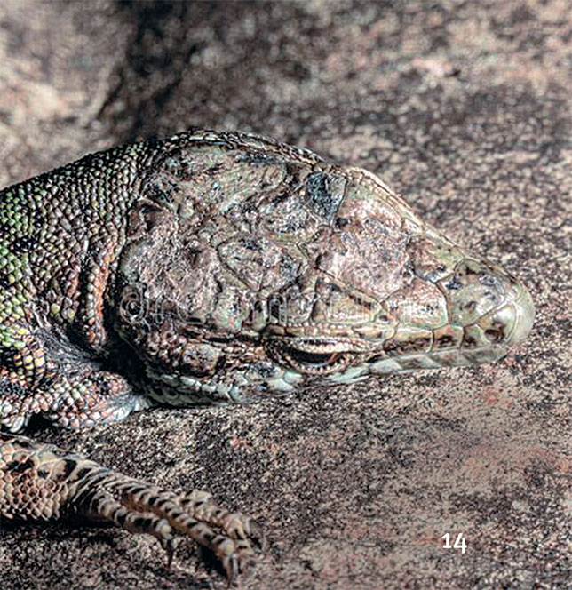 Иллюстрация к книге — Перерастая бога. Пособие для начинающих [i_022.jpg]