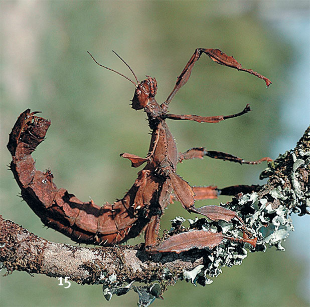 Иллюстрация к книге — Перерастая бога. Пособие для начинающих [i_023.jpg]