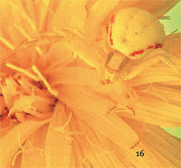 Иллюстрация к книге — Перерастая бога. Пособие для начинающих [i_024.jpg]