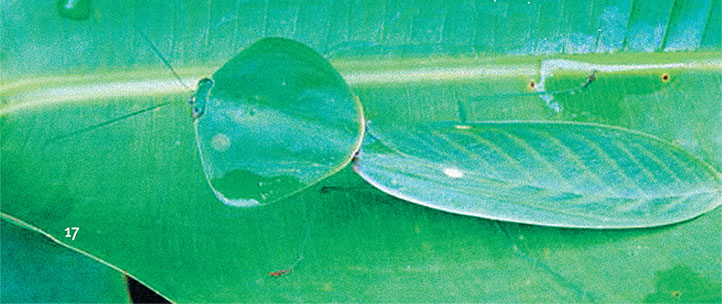 Иллюстрация к книге — Перерастая бога. Пособие для начинающих [i_025.jpg]