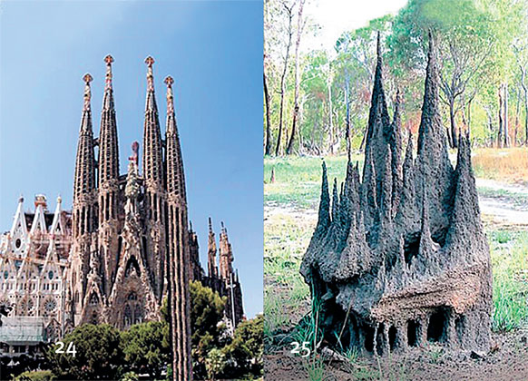 Иллюстрация к книге — Перерастая бога. Пособие для начинающих [i_032.jpg]