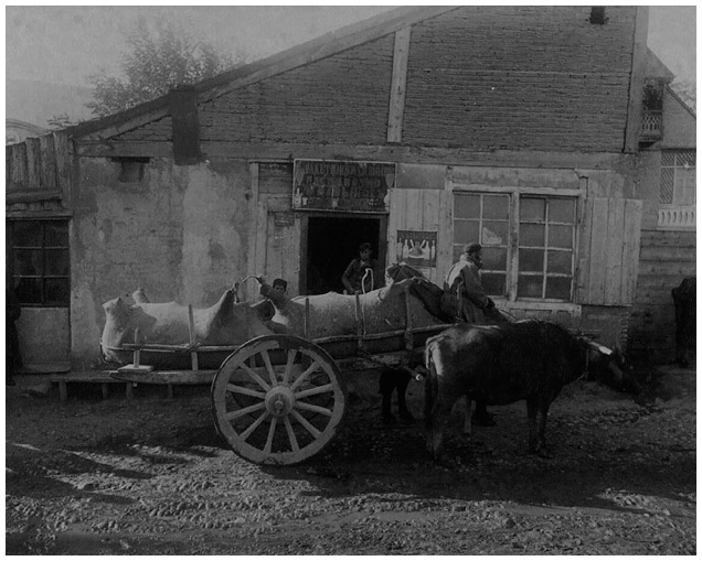 Иллюстрация к книге — Джентльмен Джек в России. Невероятное путешествие Анны Листер [i_092.jpg]