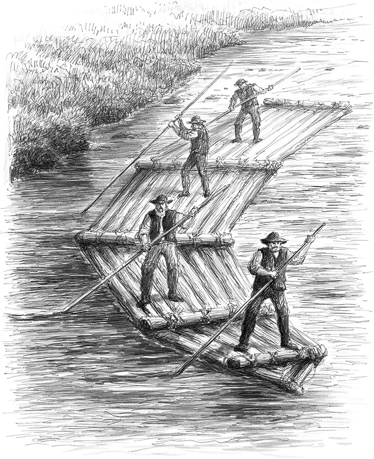 Иллюстрация к книге — Лес. Как устроена лесная экосистема [i_016.jpg]