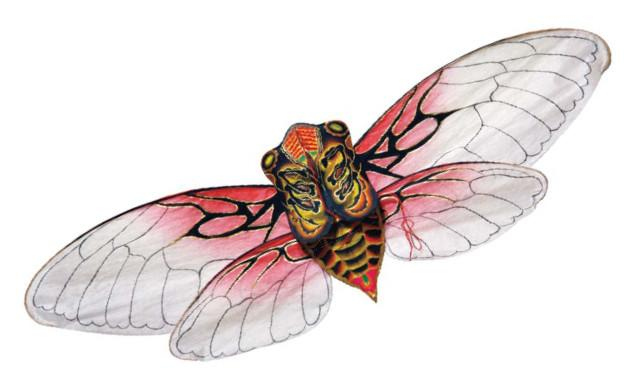 Иллюстрация к книге — Воздушные змеи [i_074.jpg]